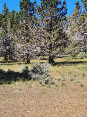 509-265 STONE RD, SUSANVILLE, CA 96130, photo 3 of 4